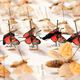 Illustration for article titled Half the Worlds Natural History Specimens Might Have the Wrong Name